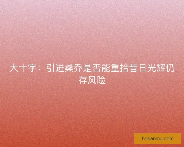 大十字：引进桑乔是否能重拾昔日光辉仍存风险