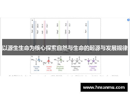 以源生生命为核心探索自然与生命的起源与发展规律