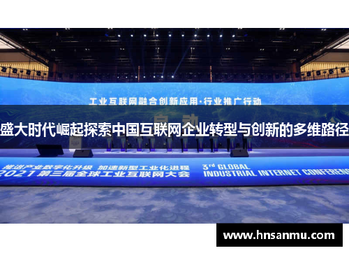 盛大时代崛起探索中国互联网企业转型与创新的多维路径
