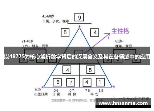 以48775为核心解析数字背后的深层含义及其在各领域中的应用