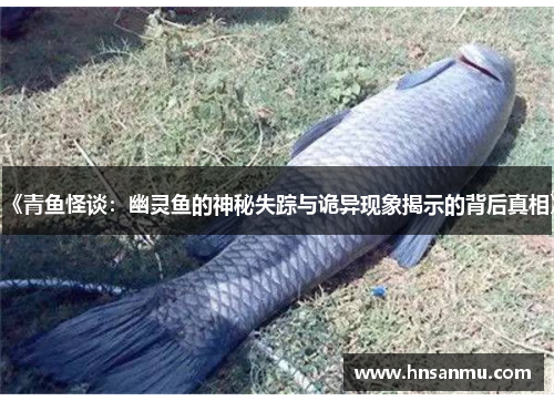 《青鱼怪谈：幽灵鱼的神秘失踪与诡异现象揭示的背后真相》