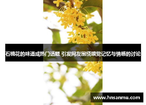 石楠花的味道成热门话题 引发网友围绕嗅觉记忆与情感的讨论